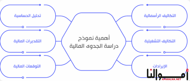 دراسة الجدوى المالية