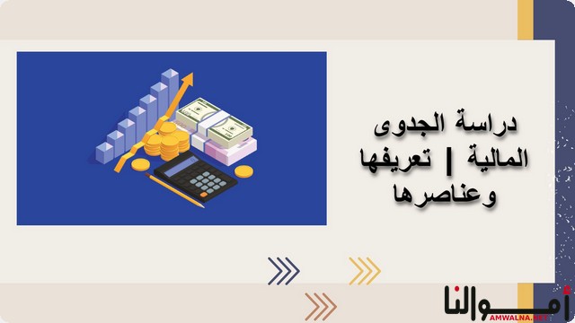 تعريف دراسة الجدوى المالية بالعناصر والانواع