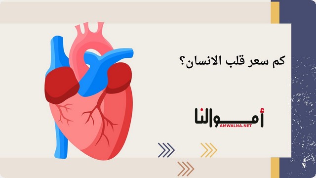 كم سعر قلب الإنسان؟ وما هي طريقة زراعة القلب