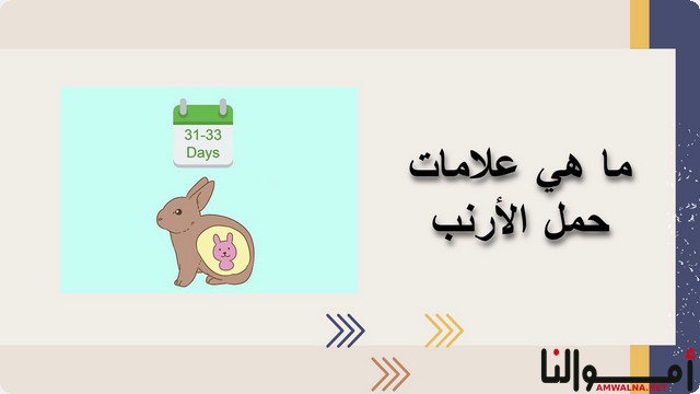 علامات حمل الأرنب