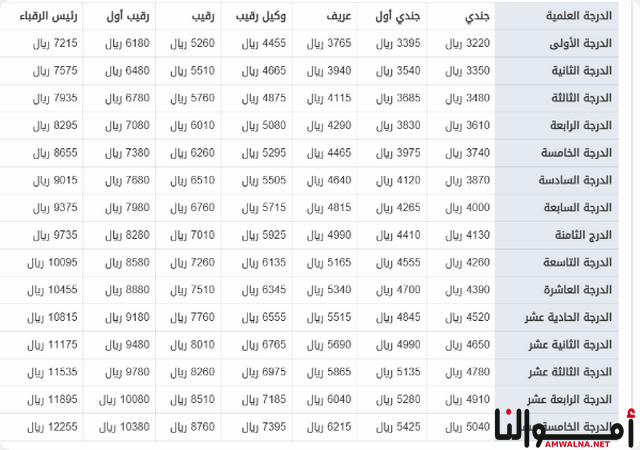 مراقب أمن وسلامة