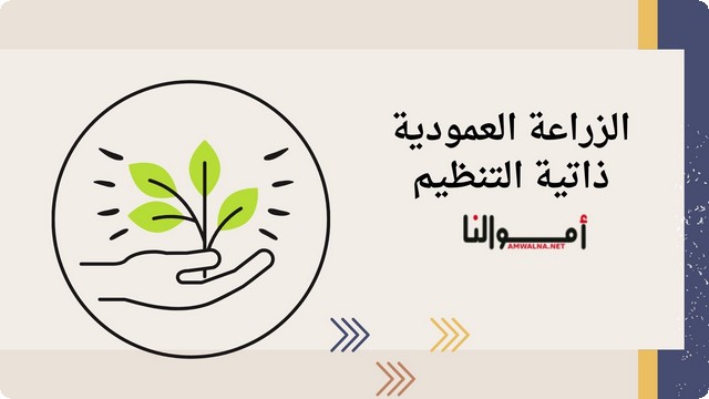 مشاريع لم تخطر على البال