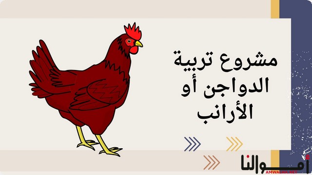 مشاريع مربحة