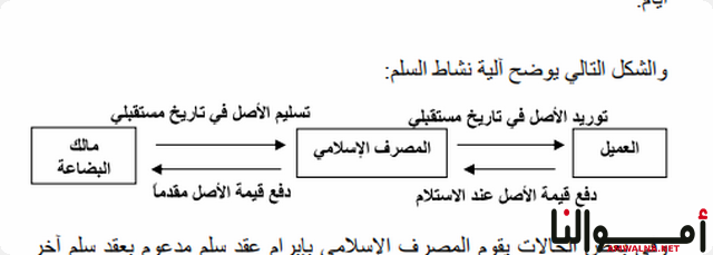 المصارف الإسلامية