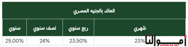 حسابات البنك العربي الافريقي