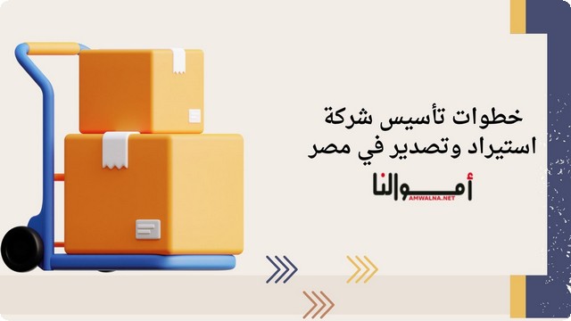 خطوات تأسيس شركة استيراد وتصدير في مصر