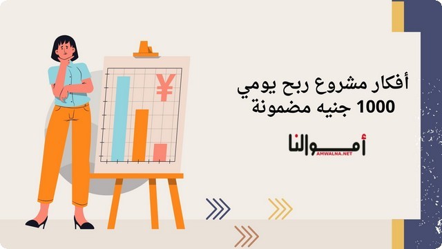 أفكار 11 مشروع بـ ربح يومي 1000 جنيه مضمونة